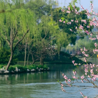 一到春天 扬州就惊艳了全世界