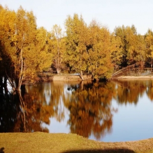 中国最冷的城市根河 媲美北极藏着亚洲第一的美景