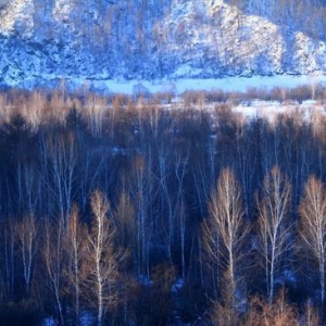 冬日奇景都在这了 还藏着中国最后一个驯鹿部落