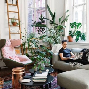 纽约植物系男孩 邀请你去他家客厅坐坐