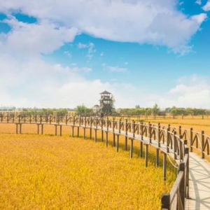 《我和我的家乡》取景地大公开 想不到有这么美